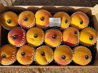 Melocotón de Calanda Arenosa Gourmet en Calanda. Cooperativa agropecuaria