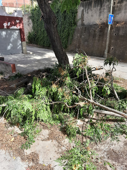 NOUS ESPAIS TORRENT SA en Torrent. Servicio de jardinería