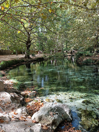 Fuentes del Marqués en Caravaca de la Cruz. Parque