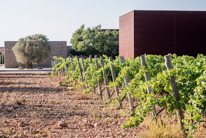 Tianna Negre en Binisalem. Bodega