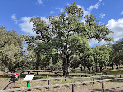 Centro De Visitantes Cortijo El Berrocal en Almadén de la Plata. Centro de visitantes