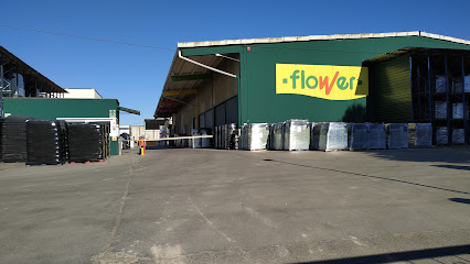 Productos Flower S.A. en Tàrrega. Floristería
