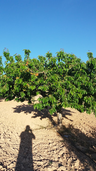 Ecoparque de Beniganim en Benigánim. Parque ecológico