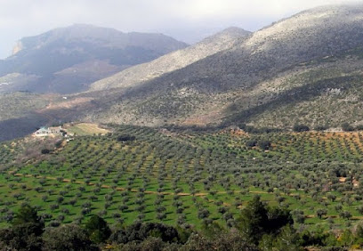 Agropecuaria El Puerto S.L. en Pegalajar. Almazara
