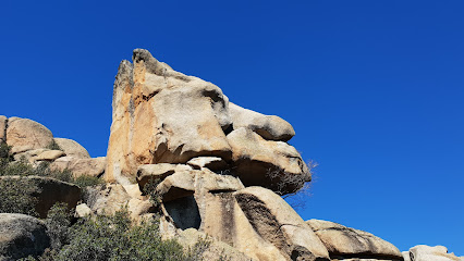 La Pedriza en Manzanares el Real. Escalada