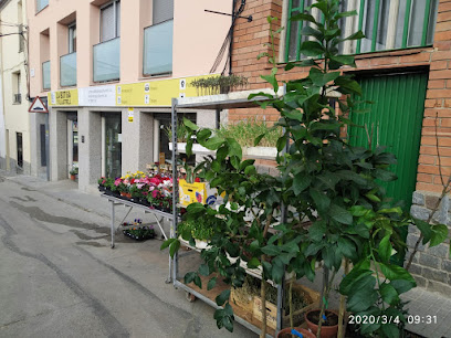 La Botiga d'Ullastrell Market en Ullastrell. Comercio