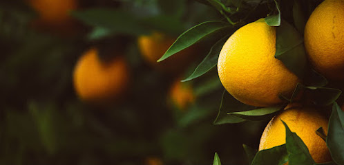 THE ORANGE FARMER en Manises. Tienda de alimentos orgánicos