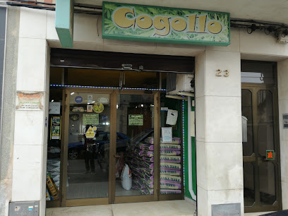 Cogollo GrowShop Vinaròs en Vinaròs. Tienda de cultivo