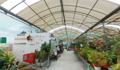 Garden centre 'El Oasis' en San Fulgencio. Centro comercial