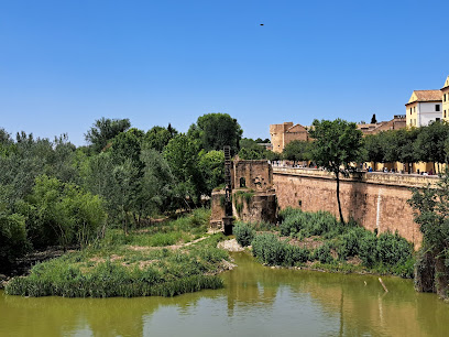 Sotos de la Albolafia en Córdoba. Parque ecológico