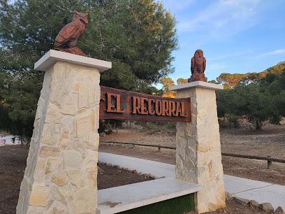 El Recorral en Rojales. Reserva natural