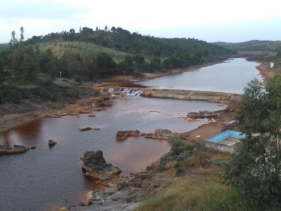 Olivar de Huelva en Niebla. Supermercado