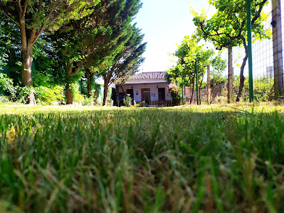 Casa Rural Huerto Lahiguera en Campillo de Altobuey. Sin categoría