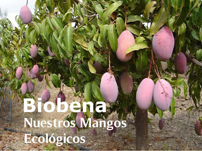 Frutas Biobena S.L. en Benamargosa. Tienda online de comercio electrónico