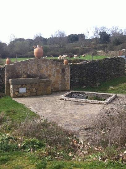FUENTE - La Juenti de las Vertúis en Robleda. Fuente de agua potable