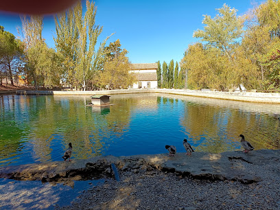 Nacimiento del Río Arbuniel en Arbuniel. Reserva natural