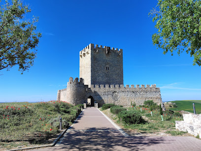 Castillo de los Téllez de Meneses de Tiedra en Tiedra. Castillo