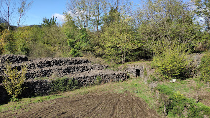Parque de Piedra Tosca en Les Preses. Parque