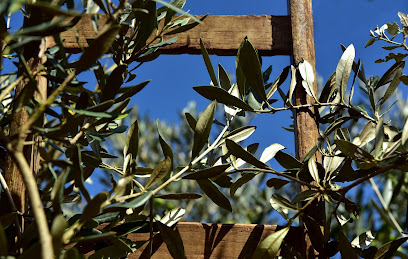 carmonagro en Arjonilla. Cooperativa agropecuaria