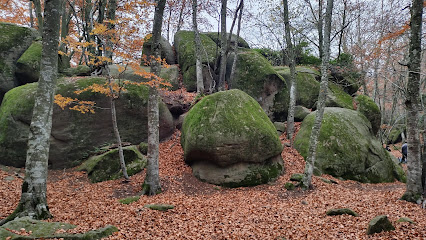 Roques Encantades en Les Planes d'Hostoles. Bosque nacional