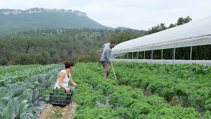 El Circell - Agricultura ecològica en Vespella. Granja orgánica