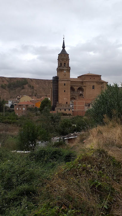 Paseo del rioLeza
