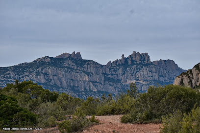 Espai Natura Puigventós en Olesa de Montserrat. Reserva natural