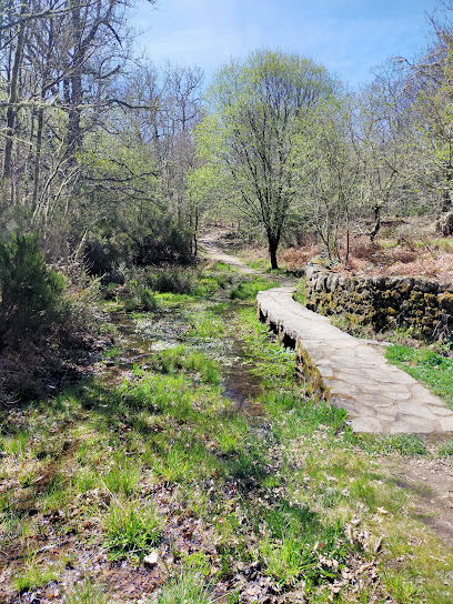 Camino de las Raíces en La Alberca. Zona de senderismo