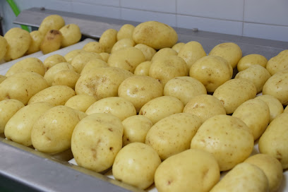 Interagro de patatas en Carpio. Mayorista de frutas y hortalizas