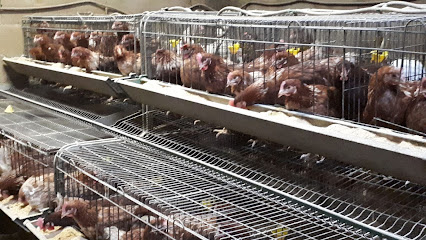 Piensos Mallorquin en Fuente el Saz de Jarama. Fábrica