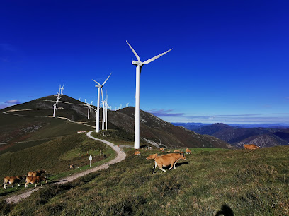 Parque Eólico de Belmonte en Santa Marina. Proveedor de energía ecológica