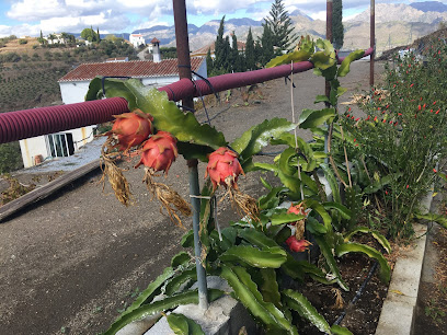 Ecocactáceas Benamar en Torrox. Frutería