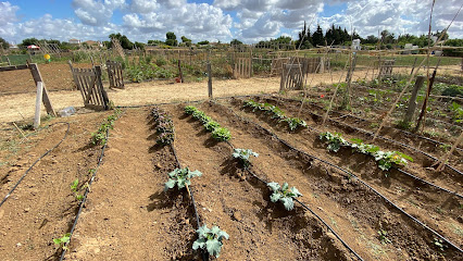 huerto econatura en Chiclana de la Frontera. Huerto