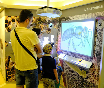 Centre d'Interpretació Apícola Muria en El Perelló. Museo