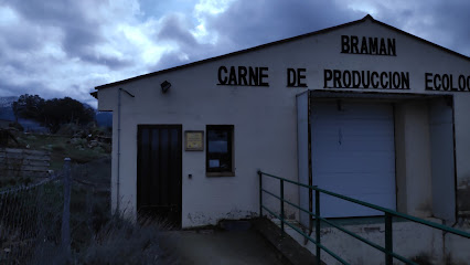 Carnes Braman