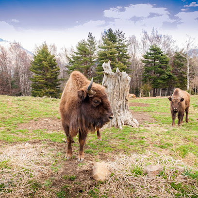 Parque Faunístico Lacuniacha en Piedrafita de Jaca. Parque de animales