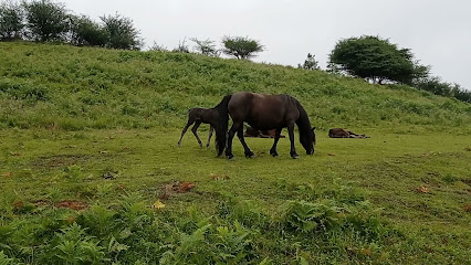 POTTOKA GUNEA en Zaldivia. Parque ecológico