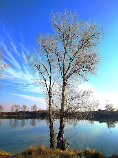 Parc del Pantà de la Serra en Sidamon. Reserva de fauna salvaje