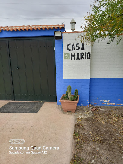 Bar Restaurante Casa Mario...COMIDA VEGETARIANA ECOLÓGICA Y PARA NO VEGETARIANOS .... en Mora. Restaurante vegetariano