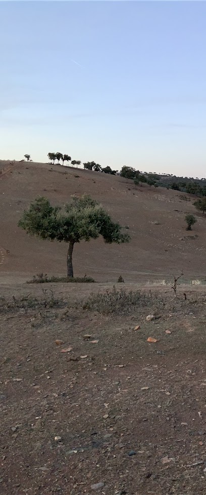 FINCA EL NAVAZO en Aldeaquemada. Zona de caza