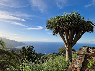 Mirador de La Tosca en Barlovento. Mirador