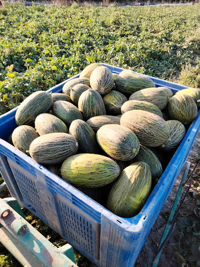 Granalife en Cox. Procesamiento de frutas y verduras