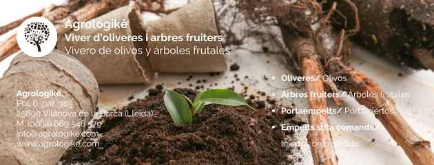 Vivero Agrologikê | Olivos y árboles frutales en Vilanova de la Barca. Vivero