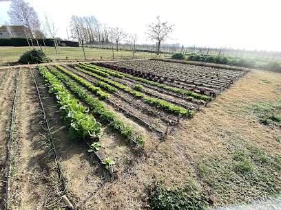 Cuna Farm en L'Armentera. Granja orgánica