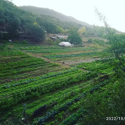 Tierras del Múrtiga en Galaroza. Granja orgánica