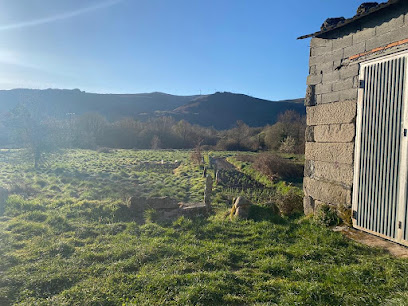 Randín en Calvos de Randín. Conservación del patrimonio