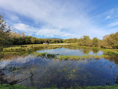 BIRDING EUSKADI - Parque Ecológico de Plaiaundi en Irún. Oficina de atención al ciudadano