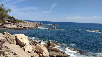 Roques Planes en Calonge. Reserva natural