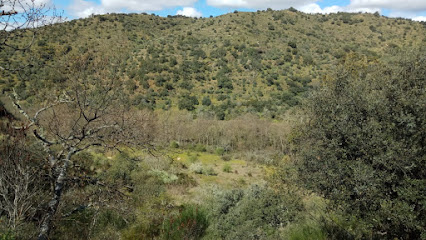 Camino de Arnales en Villarino de los Aires. Parque ecológico