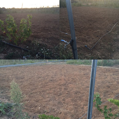 Hort Ecològic Penedès en Vilafranca del Penedès. Sin categoría